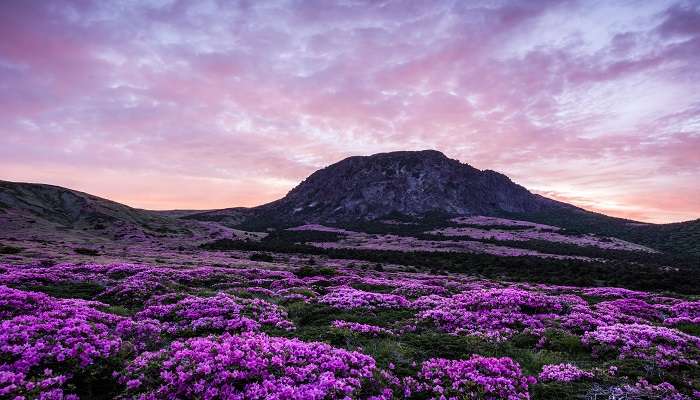 Halla Mountain in South Korea