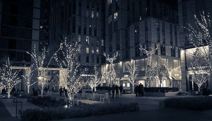 Christmas markets in washington dc