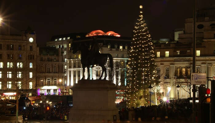 Trafalgar Square Tree during christmas in london