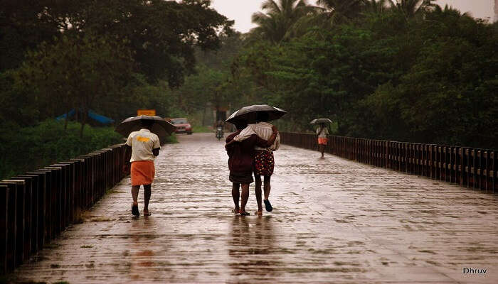weather and travel conditions 