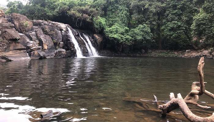 कूर्ग आकर्षक स्थल कोटेबेटा पीक एक लोकप्रिय स्थान है