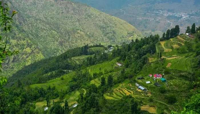 धनोल्टी शहर का प्राकृतिक दृश्य, जो भारत के पर्यटन स्थल में घूमने के लिए सबसे अच्छी जगहों में से एक है