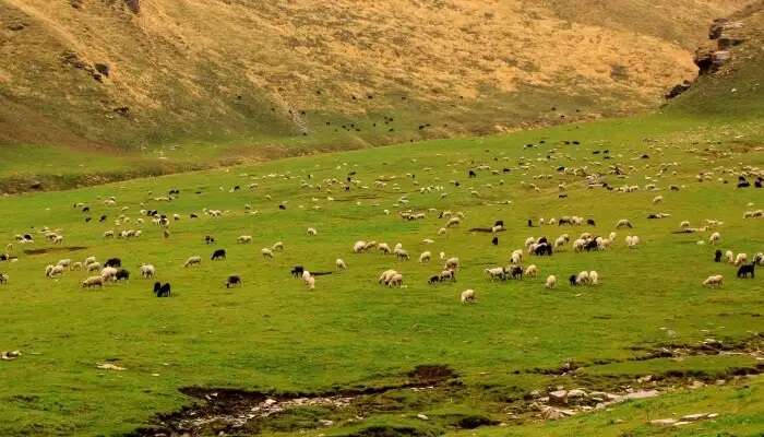 पब्बर घाटी शिमला पर्यटन स्थल में घूमने के लिए सबसे अच्छी जगहों में से एक है