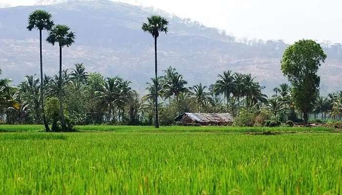 पलक्कड़ केरल का दर्शनीय स्थल है