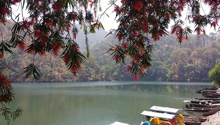 भीमताल झील नैनीताल दर्शनीय स्थल में से एक है