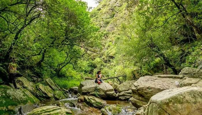 खूबसूरत हरा-भरा दृश्य, भारत के पर्यटन स्थल में घूमने के लिए सबसे अच्छे स्थानों में से एक है