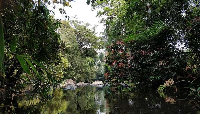 कूर्ग के सर्वोत्तम दर्शनीय स्थलों में से एक विराजपेट है