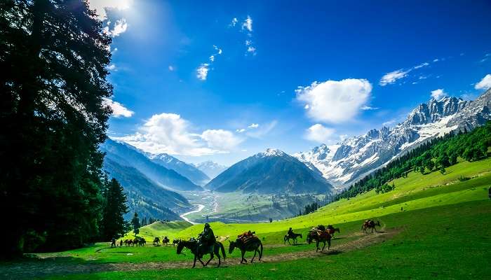पहलगाम: पूरे दिन का दर्शनीय स्थल भ्रमण