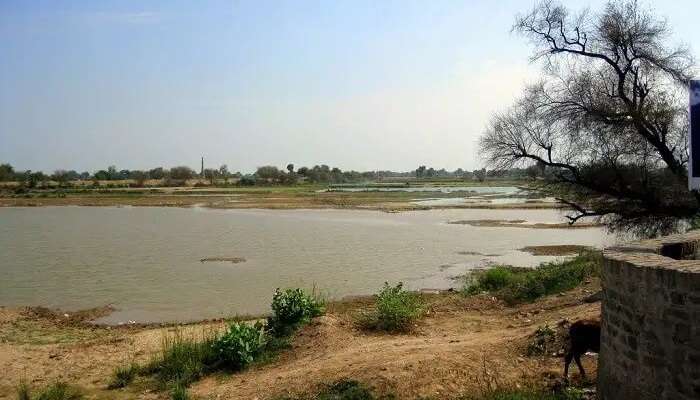 घग्घर रिवर के तट पर स्थित हनुमानगढ़ राजस्थान के प्रमुख पर्यटन स्थल के रूप में जाना जाता है