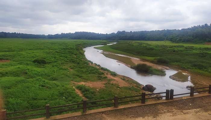 हरंगी बांध कूर्ग आकर्षक स्थल में घूमने के लिए खूबसूरत जगह है