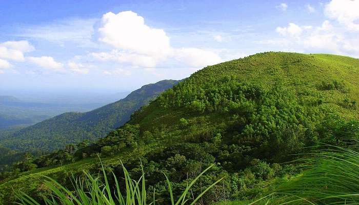 Ponmudi Hill Station
