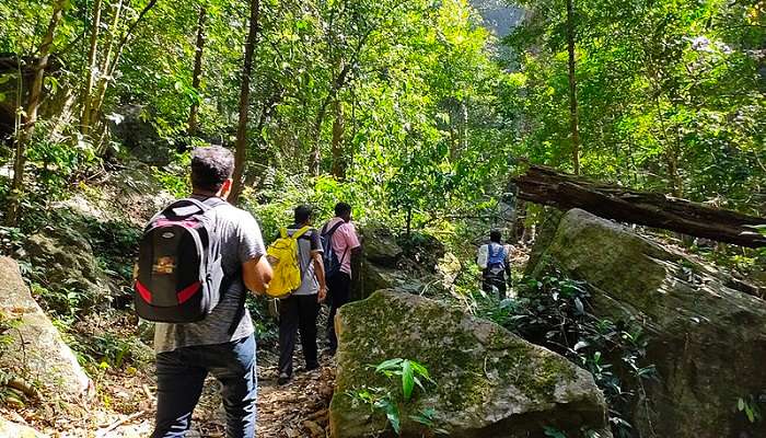 Nishani Motte is one of the best places to visit in Coorg