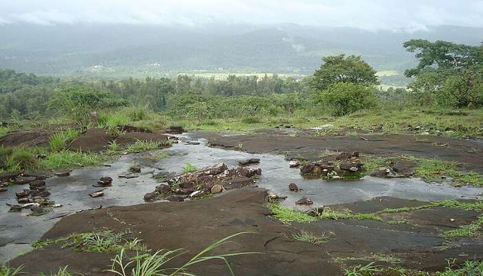 Nature lover can do a Solo Trip near Bangalore in Chikmagalur.