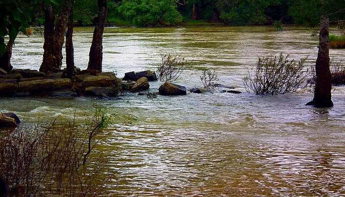 Honnamana Kere Lake is one of the best places to visit in Coorg