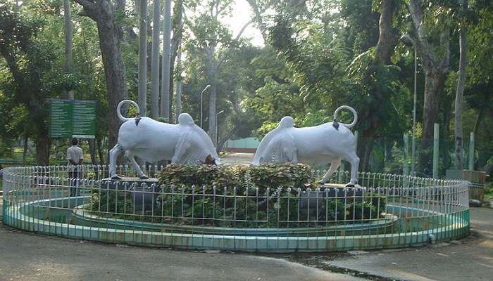 Pondicherry Botanical Garden is a wonderful place to visit