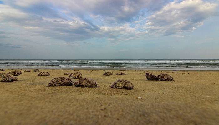 Veerampattinam Beach is one of the best places to visit in Pondicherry