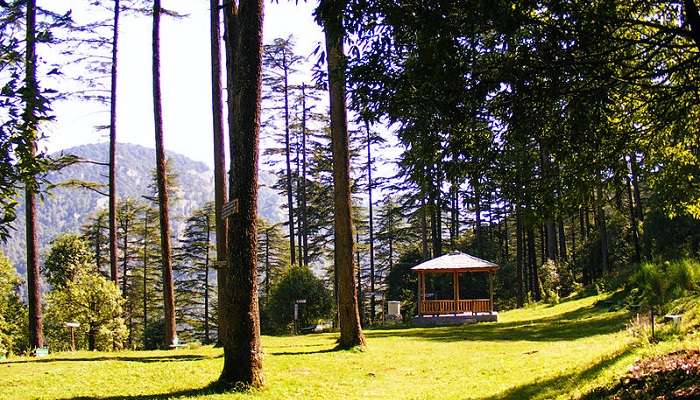 Dhanaulti stunning view