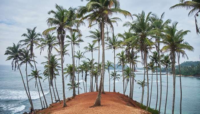 crescent-shaped beach village