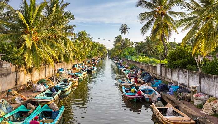 The colorful boats are docked along the banks of Hamilton's Canal