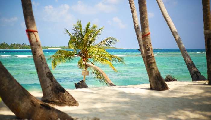 Ocean view at the low price islands in Maldives