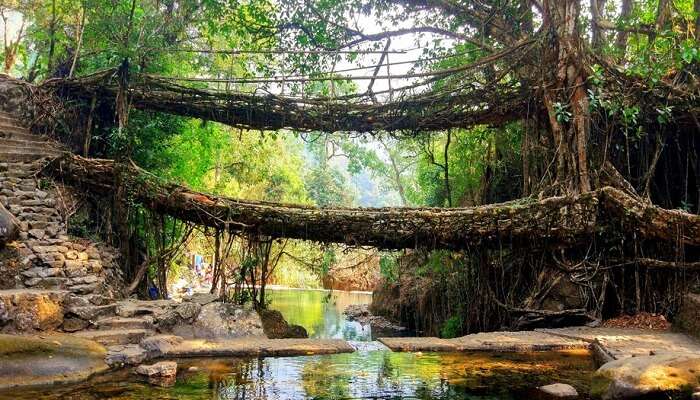 Cherrapunji- Places To Visit In India