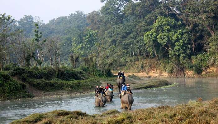 Chitwan National Park,Nepal In January