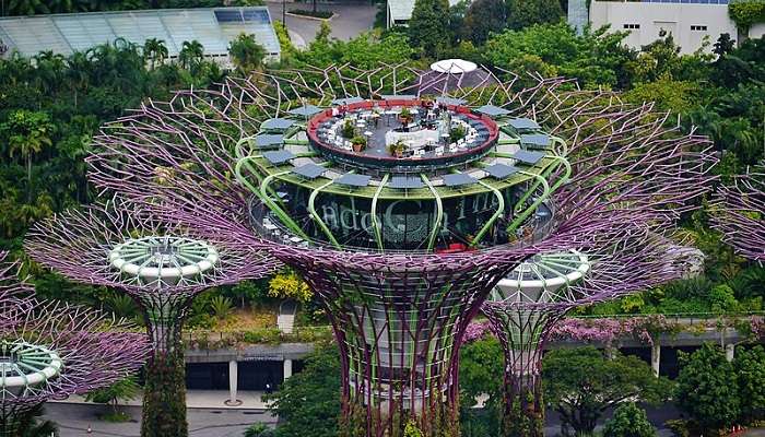 A muti color flowers in the botanic garden to enjoy the breathtaking views. 