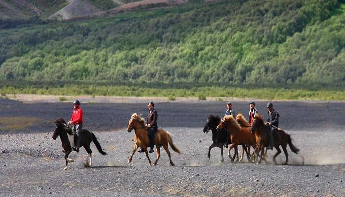 Horse Riding