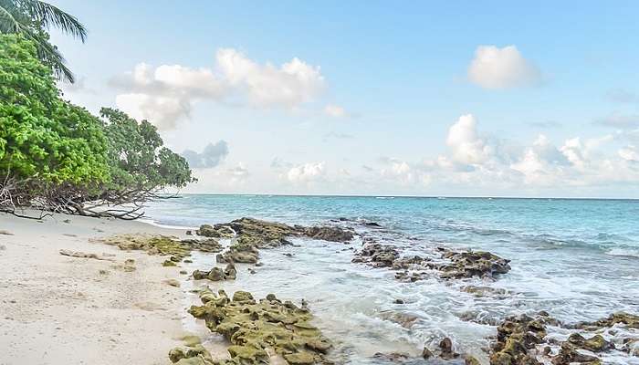 Thoddo is one of the best Budget Islands In Maldives