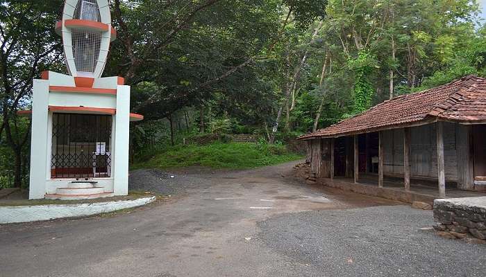 Road that leads to Mukkulam Shrine.