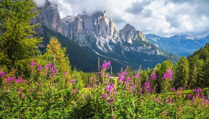 Trek view at one of the most famous places to visit in India