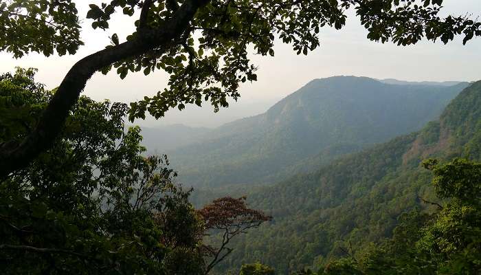 Agumbe is an offbeat tourist destination and a hill station in Karnataka, one of the best places to visit in August in India.