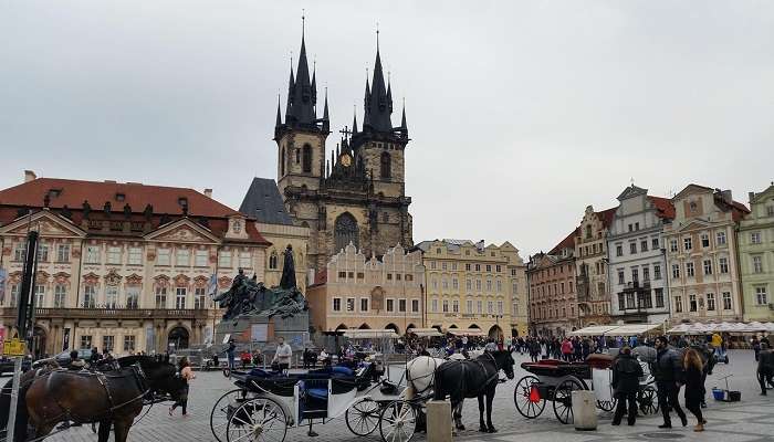 horses standing in the old town square region in Prague in Summer.