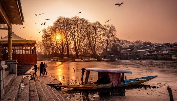 Enjoy a magical shikara ride on Dal Lake 