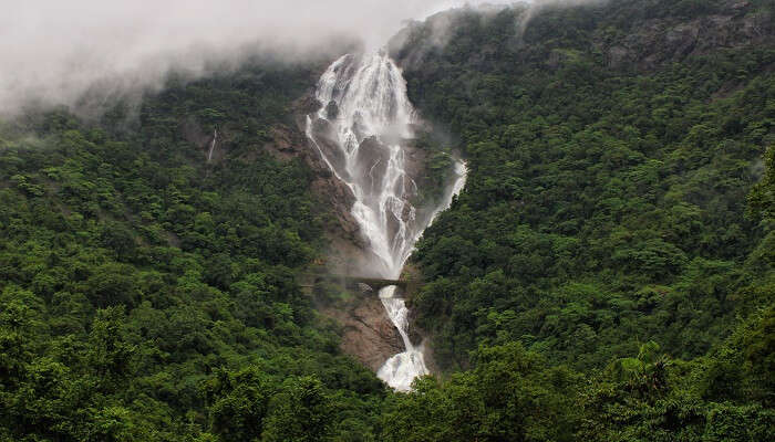 lush greenery at the Dudhsagar falls in between Bangalore to Goa road trip