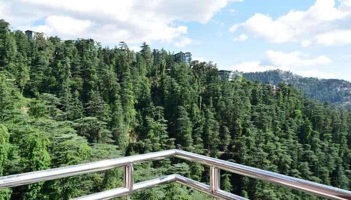 Kiala Forest to experience snowfall season in Shimla.