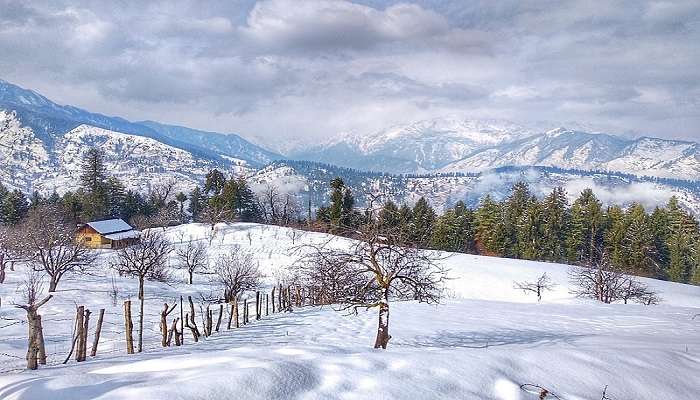 Kufri is the top place to experience snowfall season in Shimla.