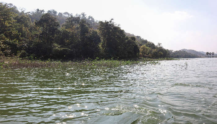 Matariya Talav in Bharuch