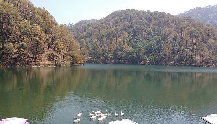 Visit Naukuchiatal