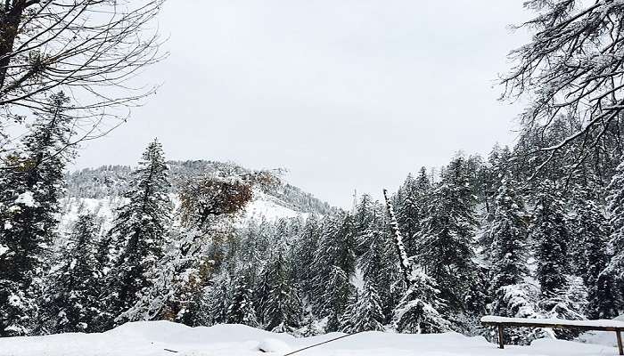 rohru to explore