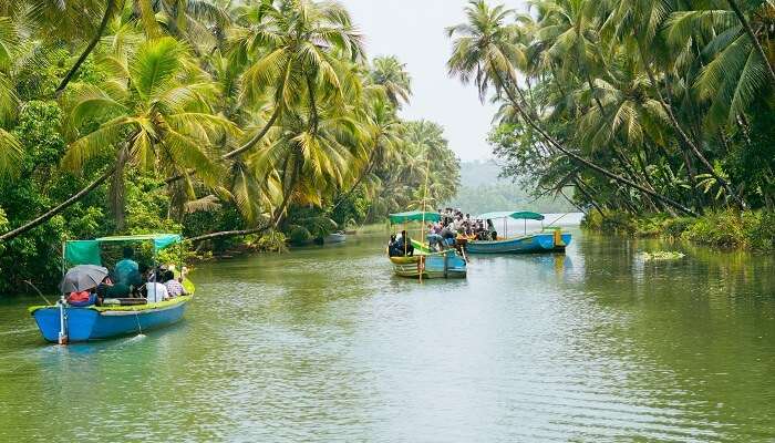 lush green surroundings in Honnavar