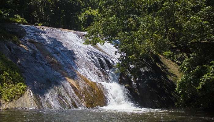 Get ready to explore the untouched natural sight at Dhoni Waterfalls in and around Ottapalam.