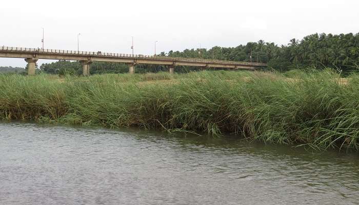 Visit one of the prominent place to visit in Ottapalam at Mayannur bridge.