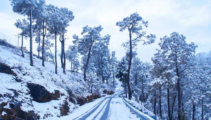 La Rue de Binsar