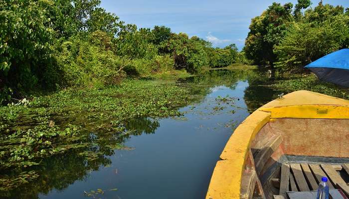 Take a tour of Buxa Tiger Reserve while exploring places to visit in Jalpaiguri