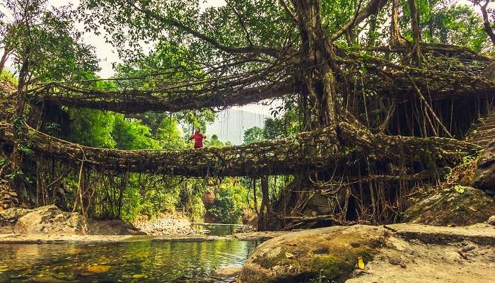 Cherrapunji est meilleur Lieux à visiter en Inde en avril