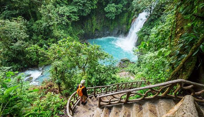 Cascade majestueuse dans la jungle tropicale du Costa Rica