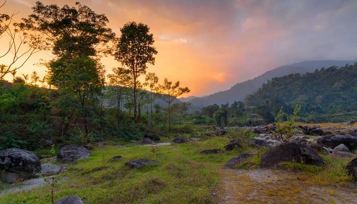 Dooars est l'un des meilleur lieux à visiter en Inde en été