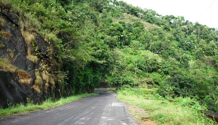 Wildlife sanctuary in Thodupuzha