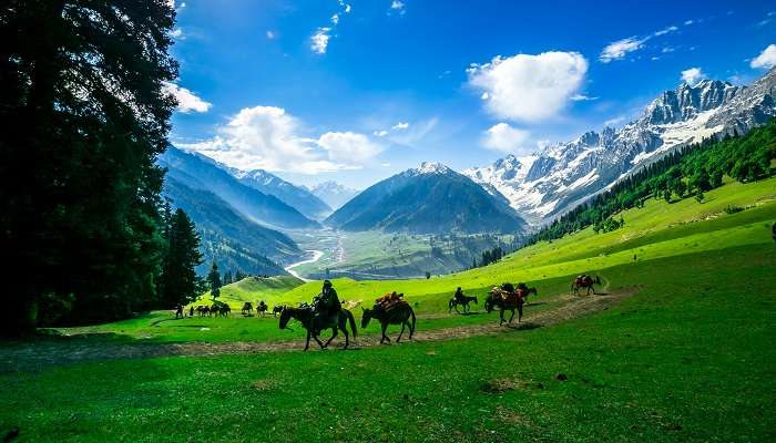 La vue verdoyante de Kashmir, l'un des meilleur Lieux à visiter en Inde en avril